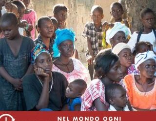 Miele di solidarietà con Aifo