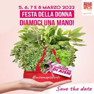 Erbe aromatiche Aism
