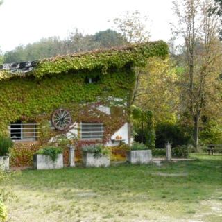 Gli animali dell’oasi