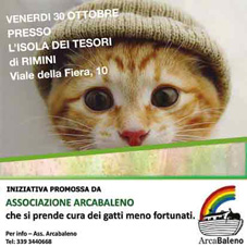 Arcabaleno raccoglie cibo per i mici