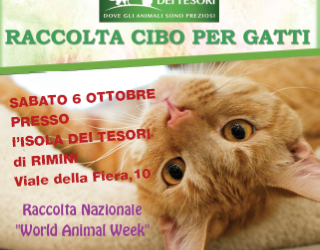 World animal week
