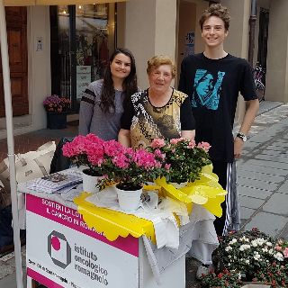 I fiori della mamma