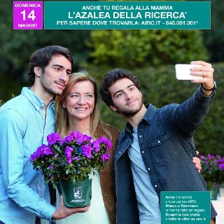 Le Azalee di Airc