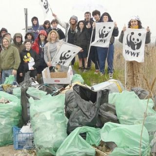Operazione bosco pulito