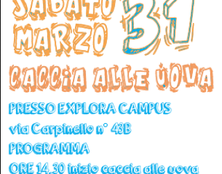 Caccia alle uova