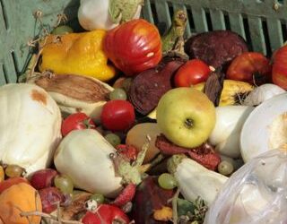 Cibo da non buttare