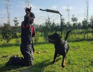 Per gli amici a 4 zampe