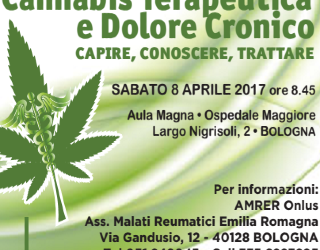 Cannabis terapeutica e dolore cronico