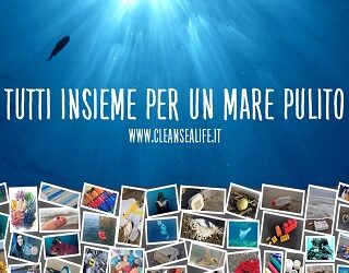 Mare pulito
