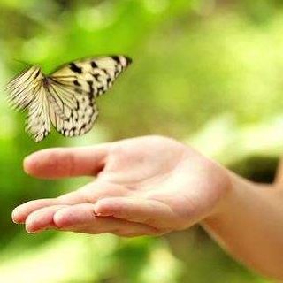 In Valconca con le Ali