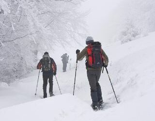 Escursione foreste casentinesi