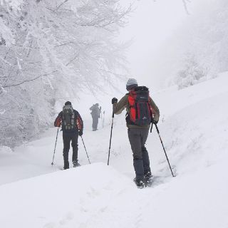 Escursione foreste casentinesi