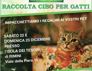 Cibo per gatti