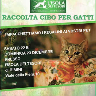 Cibo per gatti
