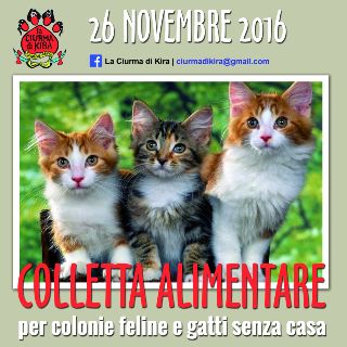 Colletta alimentare per gatti
