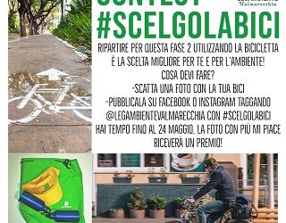 #scelgolabici