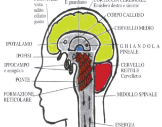 Conosci te stesso?