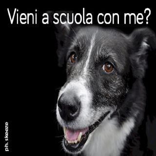 Vieni a scuola con me?