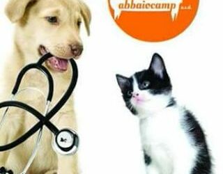 Primo soccorso veterinario
