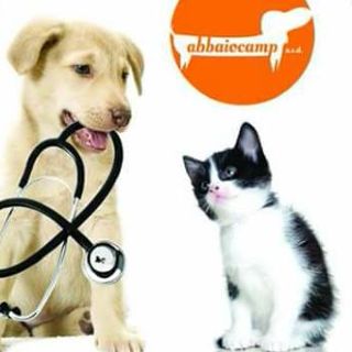 Primo soccorso veterinario
