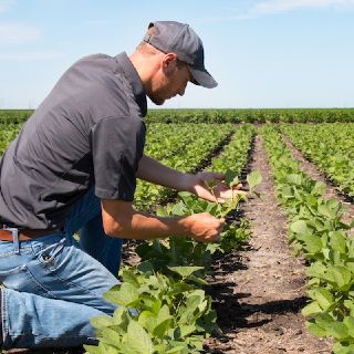 Giovani in agricoltura: è boom