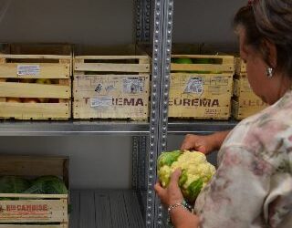 Volontari per #emporiorimini
