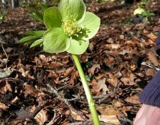 Escursioni di primavera