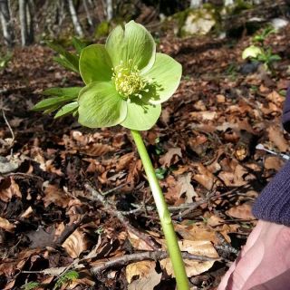 Escursioni di primavera