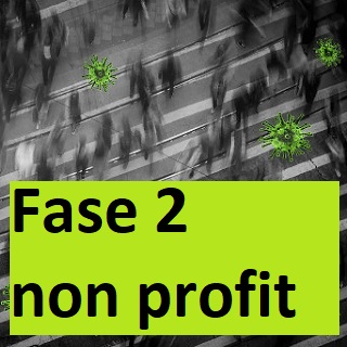 La fase 2 del non profit