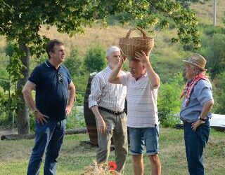 Festa campagnola 2019