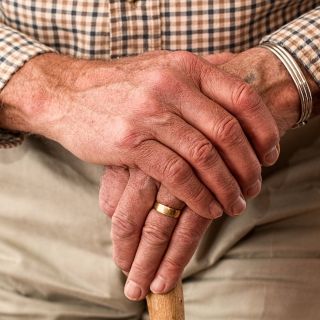 Festa dei nonni