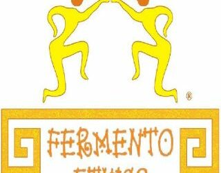 Feste popolari con Fermento Etnico