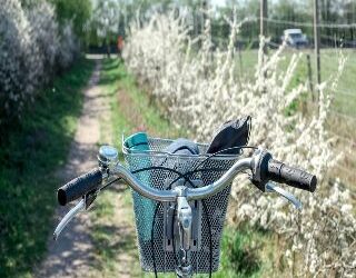 Fiab Forlì – Eventi di Marzo 2022