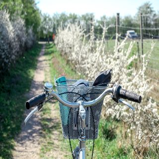 Fiab Forlì – Eventi di Marzo 2022