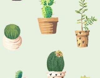 E tu, che cactus sei?