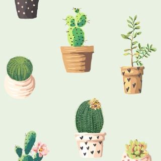 E tu, che cactus sei?
