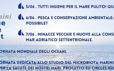 Blue life fest