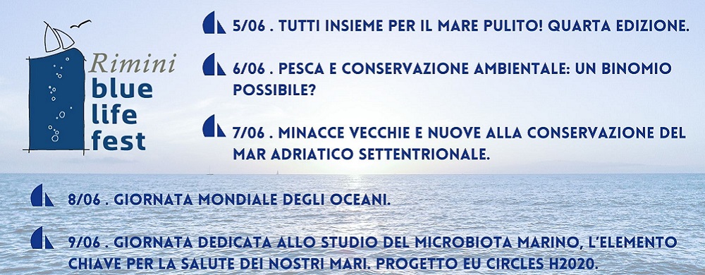Blue life fest