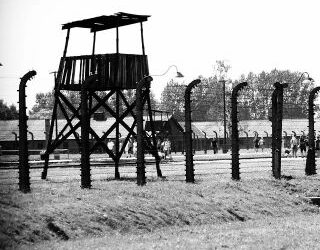 Giorno della Memoria