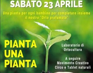 Pianta una pianta