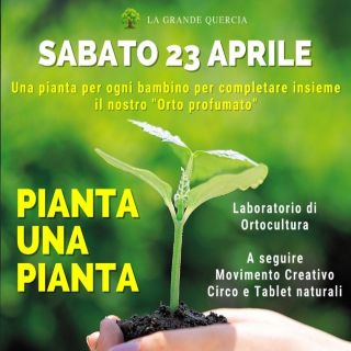 Pianta una pianta