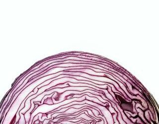 I custodi del cibo