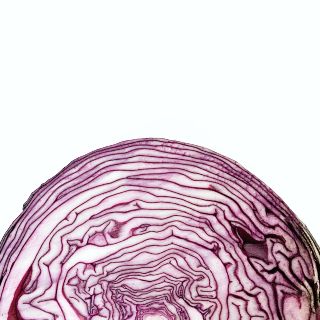 I custodi del cibo