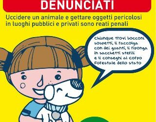 I veri bastardi vanno denunciati