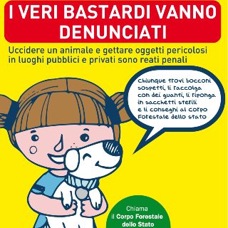 I veri bastardi vanno denunciati