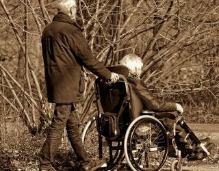 Disabilità