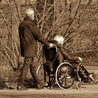 Disabilità