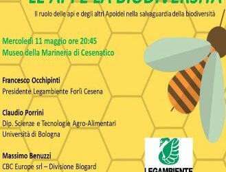 Le api e la biodiversità