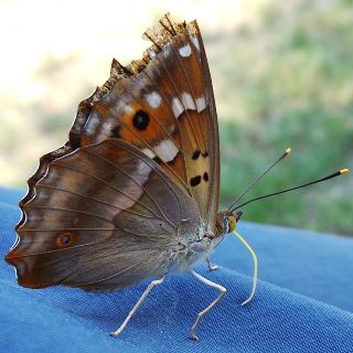 Oasi Ca’ Brigida scrigno di biodiversità