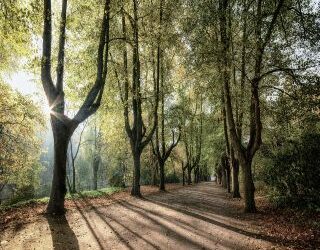 4 passi nel verde